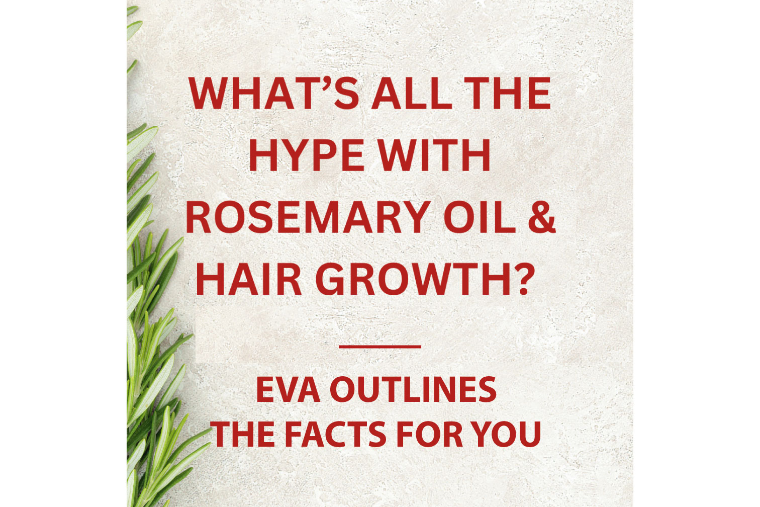 Rosemary Oil & Hair Growth?