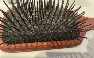 UNTANGLING THE TRUTH ABOUT WHEN TO WASH YOUR HAIRBRUSH